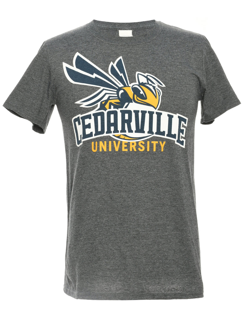 Gildan Cedarville University Sports T-shirt - S