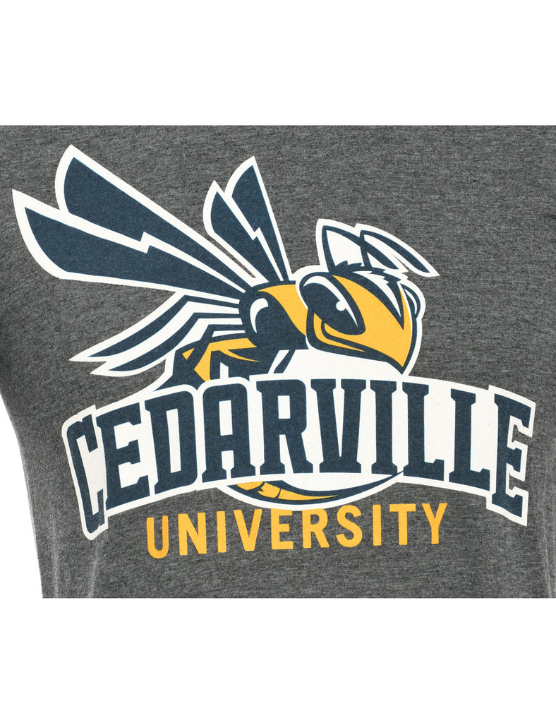 Gildan Cedarville University Sports T-shirt - S